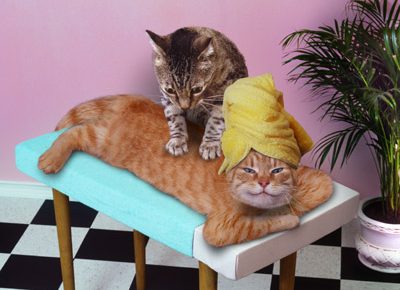 massage massage