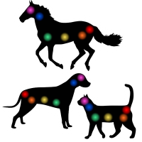 reiki-corp-3 reiki-corp-3
